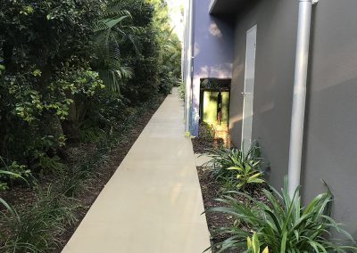 Concrete Path Restoration